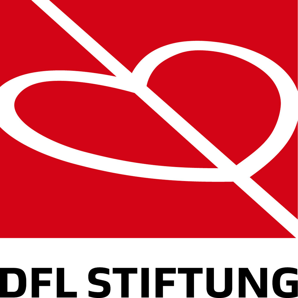 DFL Stiftung 1