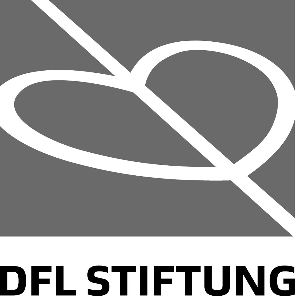 DFL Stiftung grau 1